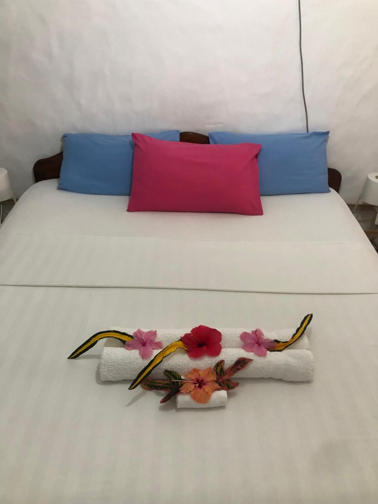 Hcs Bungalows Turtle Bay Rustic Bungalow Au Cap Buitenkant foto